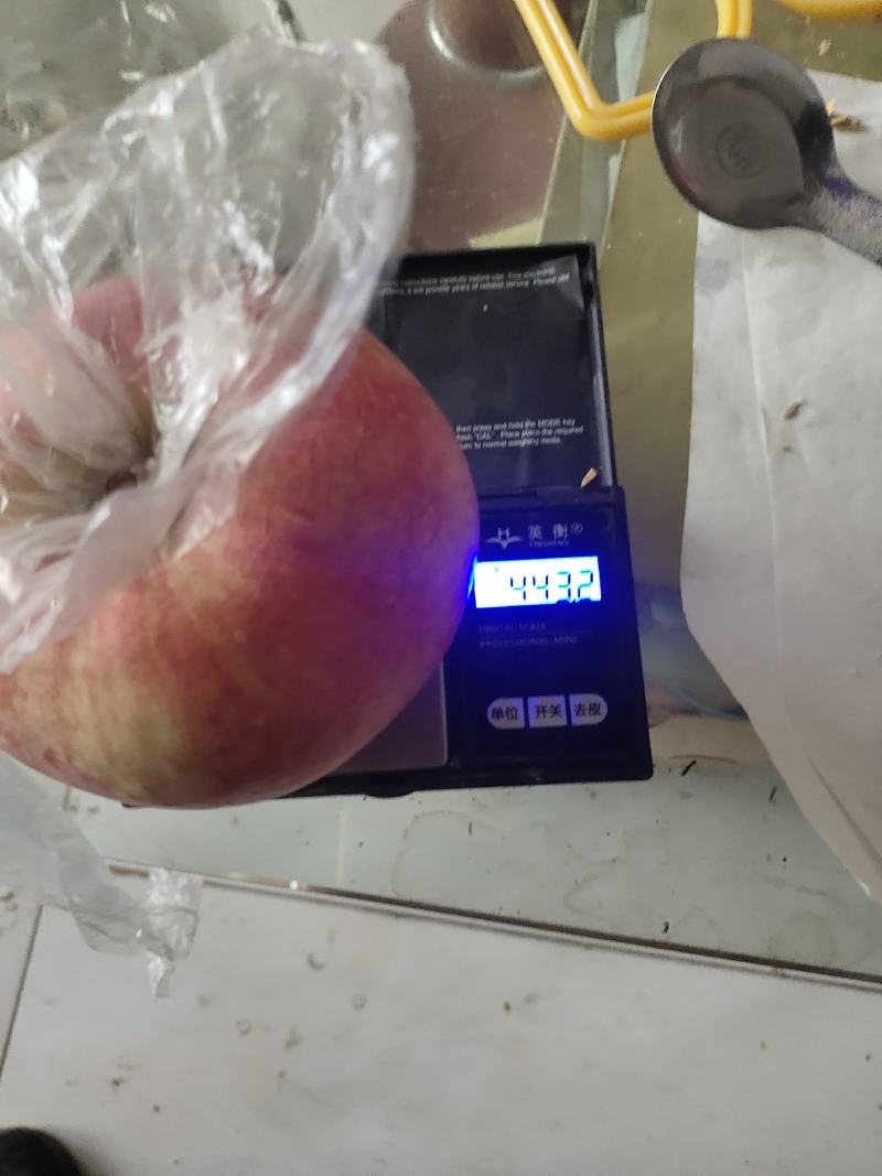 河北膜袋富士
