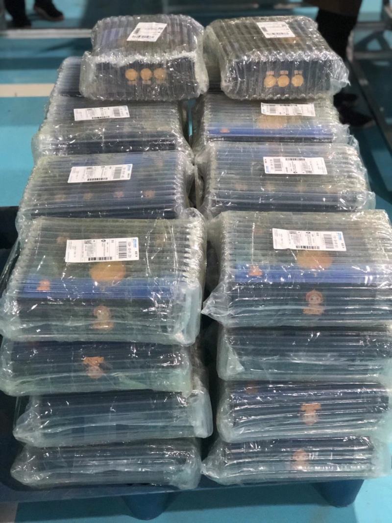 融安金桔开始走向市场，