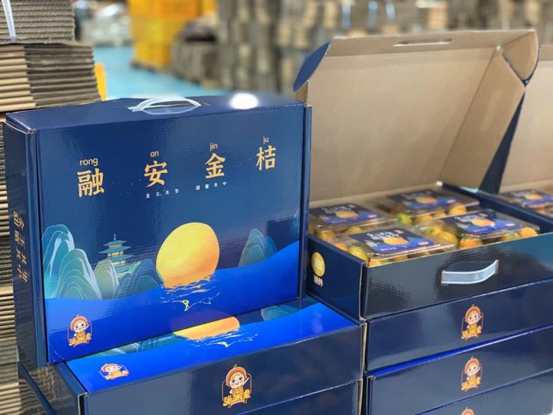 融安金桔开始走向市场，
