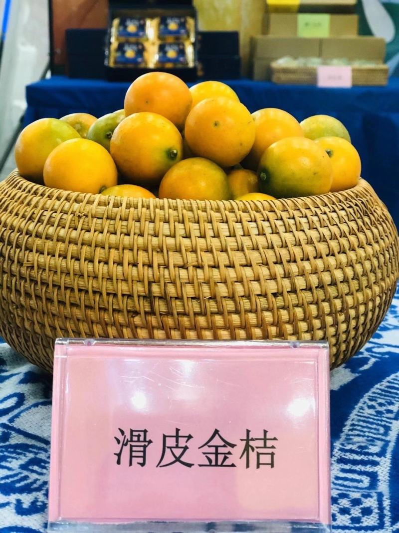 融安金桔开始走向市场，
