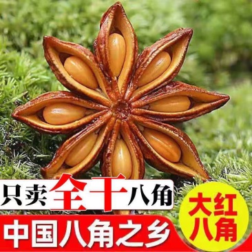 包邮新货广西全干大红八角干八角瓣八角粉批发