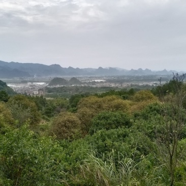 一局辛山乙向左右卫身水乾，申水汇寅在出乙辰。来龙土火木结