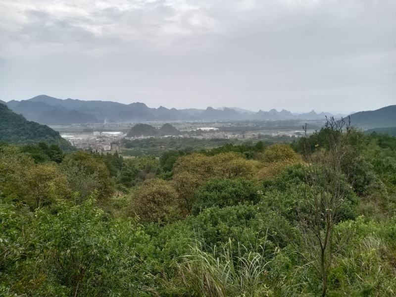 一局辛山乙向左右卫身水乾，申水汇寅在出乙辰。来龙土火木结