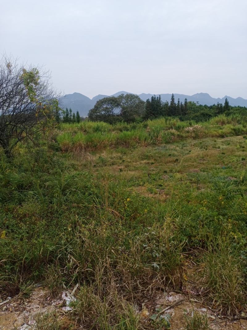 一局辛山乙向左右卫身水乾，申水汇寅在出乙辰。来龙土火木结