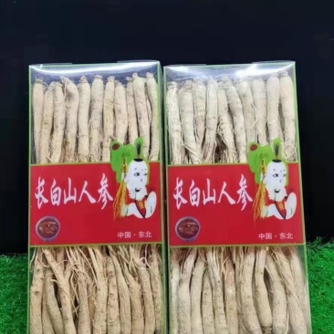 【热卖中】长白山干白参，生晒参，质量杠杠滴