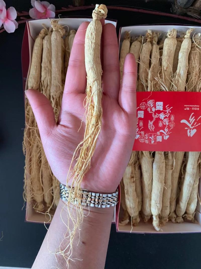 【热卖中】长白山干白参，生晒参，质量杠杠滴