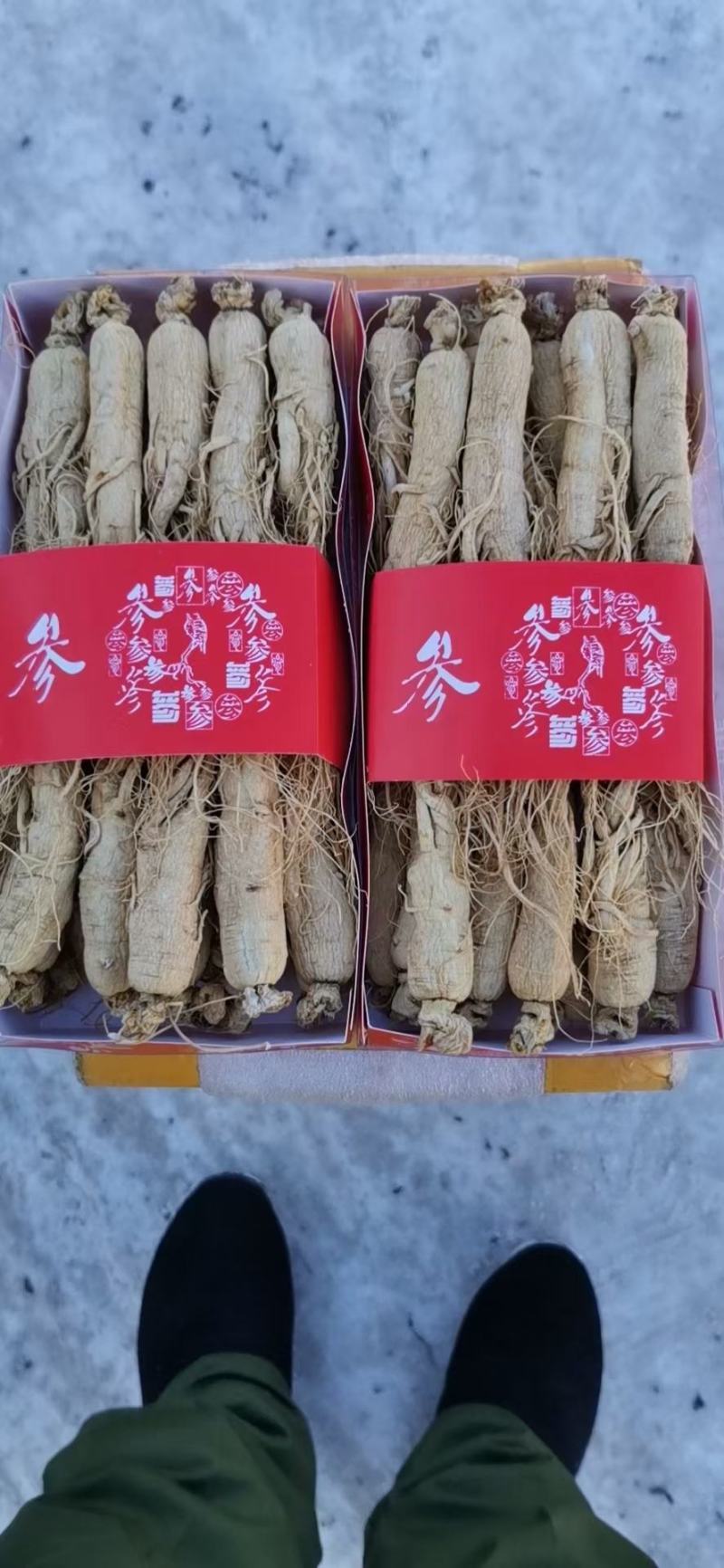 【热卖中】长白山干白参，生晒参，质量杠杠滴