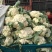 【花菜】青梗白面，价格合理，方便食用，新鲜采摘，一手货源