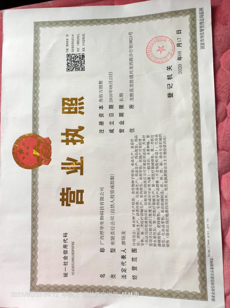 正宗太秋甜柿苗，专业技术指导，保您成功！