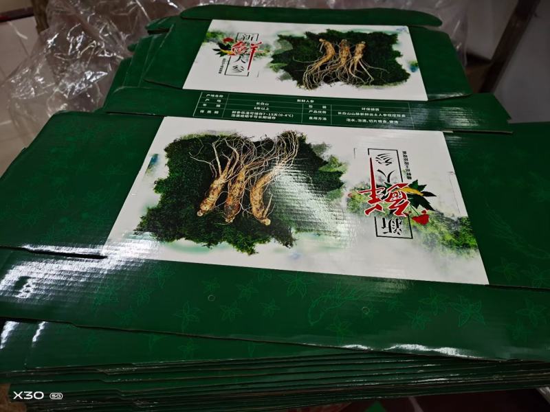 人参，新鲜人参，吉林长白山新鲜人参，东北特产药材煲汤