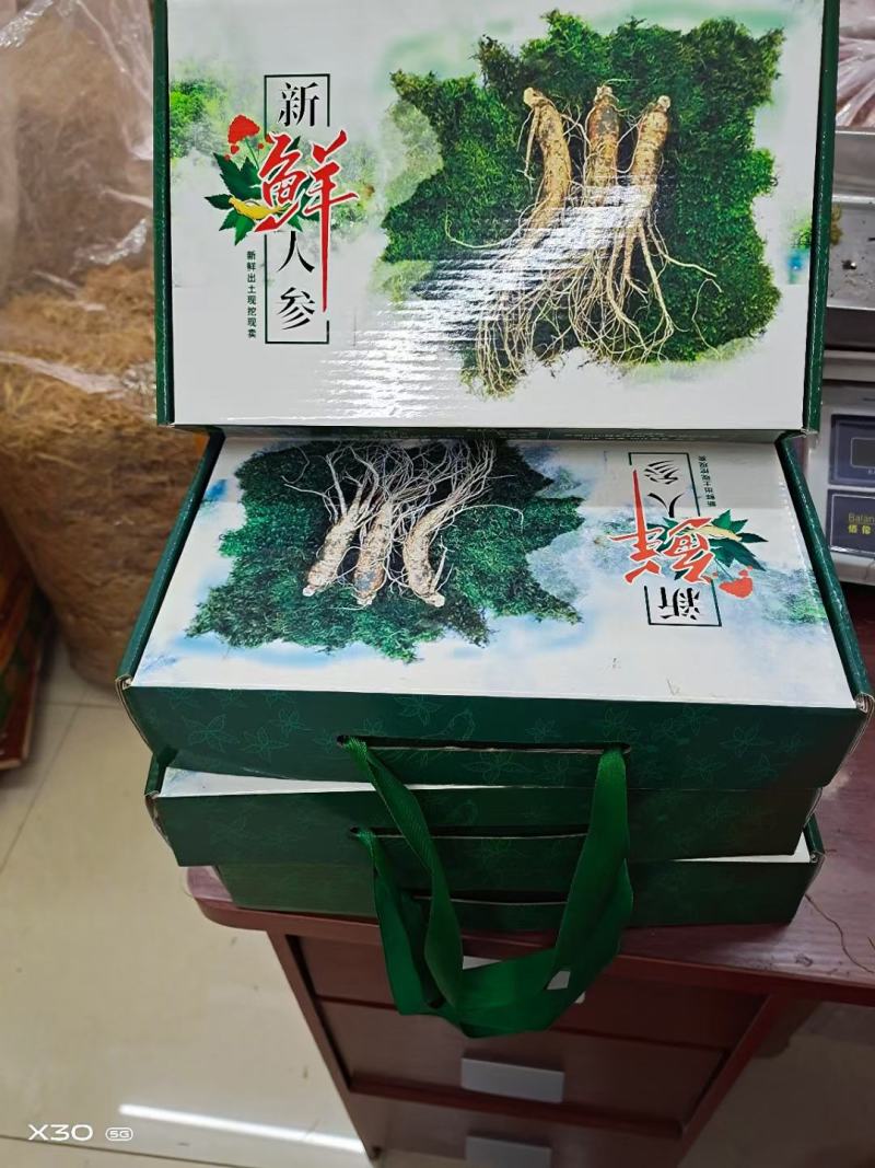 人参，新鲜人参，吉林长白山新鲜人参，东北特产药材煲汤