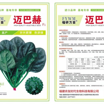 迈巴赫越冬杂交一代菠菜种子，叶色浓绿，生长速度快，