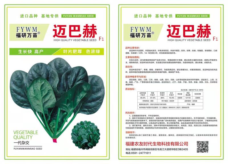 迈巴赫越冬杂交一代菠菜种子，叶色浓绿，生长速度快，