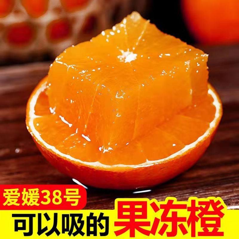 爱媛果冻橙九月红脐橙橙子支持电商团购批发视频看货