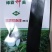 冬瓜种子，绿霸铁心王冬瓜种子，绿霸过江龙冬瓜，高产，抗病