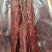 风干肉，里脊肉，后腿肉风干，都有货，展会地摊火爆热卖