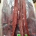 风干肉，里脊肉，后腿肉风干，都有货，展会地摊火爆热卖