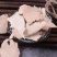 土茯苓量大从优纯野生高含量优质清白无霉烂