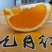 九月红果冻橙脐橙橙子爱媛橙秭归脐橙产地