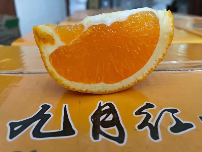 九月红果冻橙脐橙橙子爱媛橙秭归脐橙产地