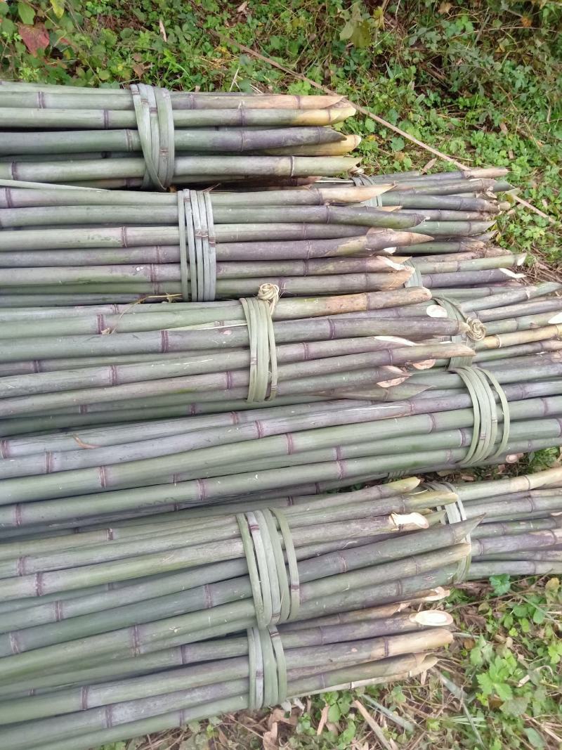 四川广安基地直供精品竹子大棚用竹菜架竹蔬菜专用，欢迎采购