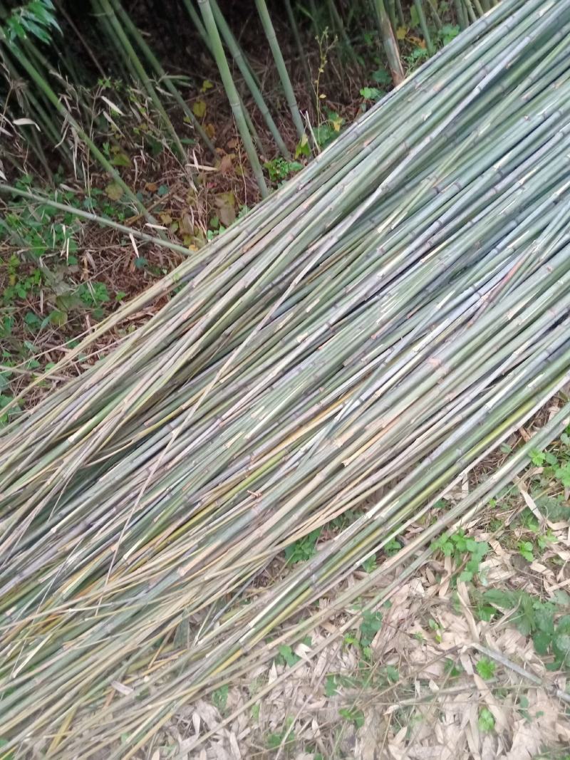 四川广安基地直供精品竹子大棚用竹菜架竹蔬菜专用，欢迎采购