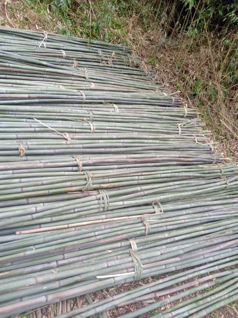 四川广安基地直供精品白夹竹竹，竹子西瓜棚，蔬菜专用，大量供应