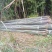 四川广安基地直供精品白夹竹竹，竹子西瓜棚，蔬菜专用，大量供应