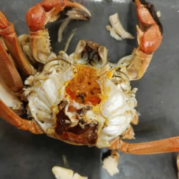 大闸蟹