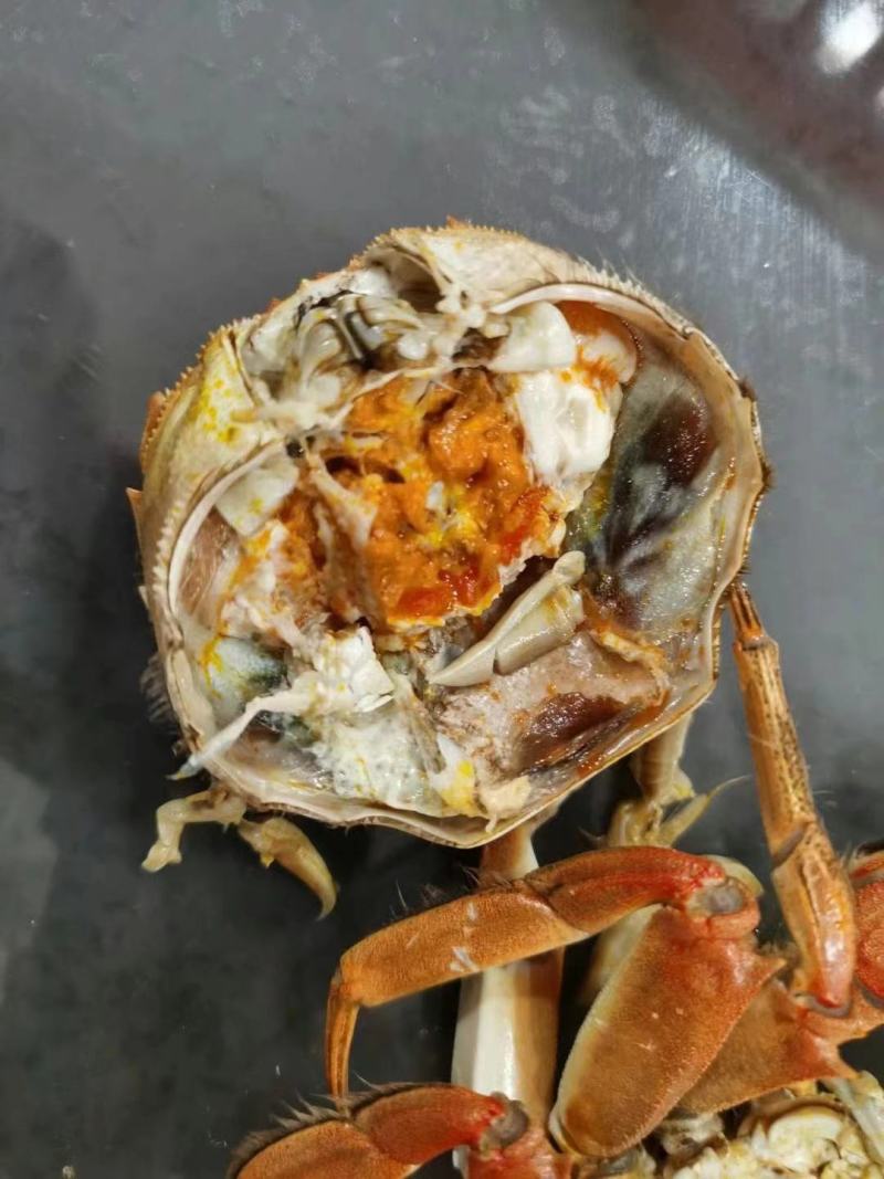 大闸蟹