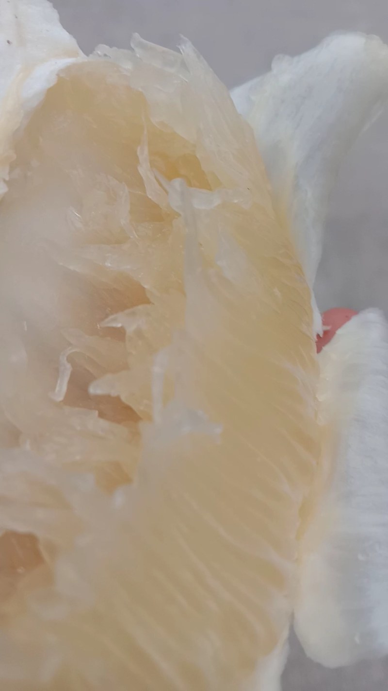 湖南江永老树柚，口感清甜，水份足，糖分高