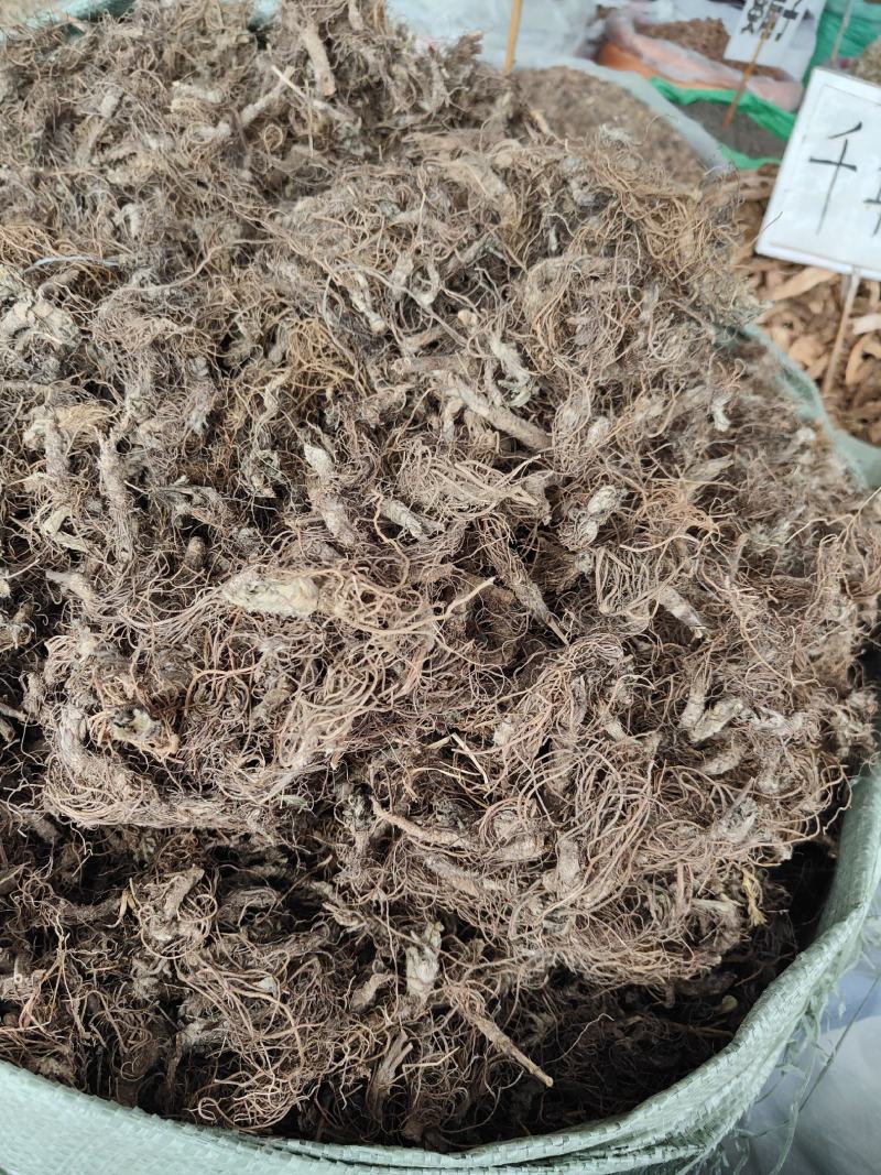 野生地胆头根部草鞋根洗水货干净无泥，可全国发货