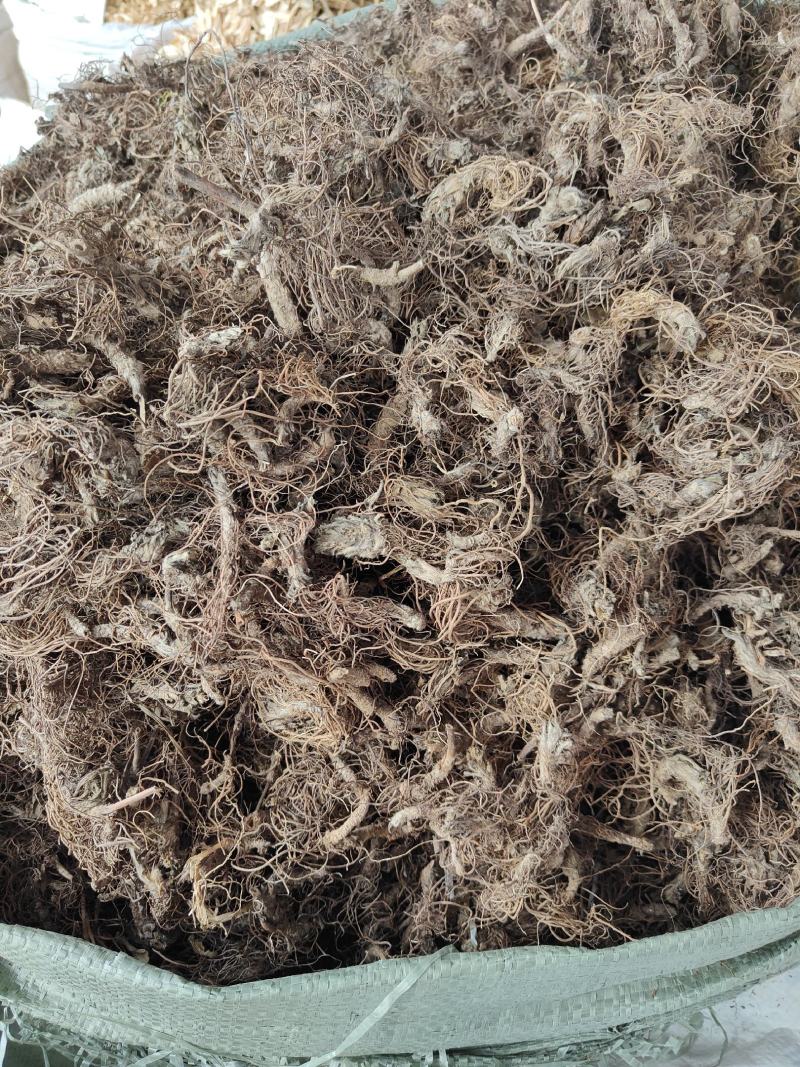 野生地胆头根部草鞋根洗水货干净无泥，可全国发货