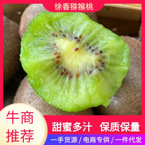【陕西】精品徐香猕猴桃个头大果型好一手货源基地直发