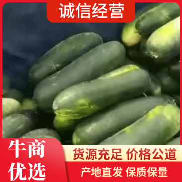 河北精品冬瓜隆尧县万亩冬瓜基地产地直销瓜型好颜色黑