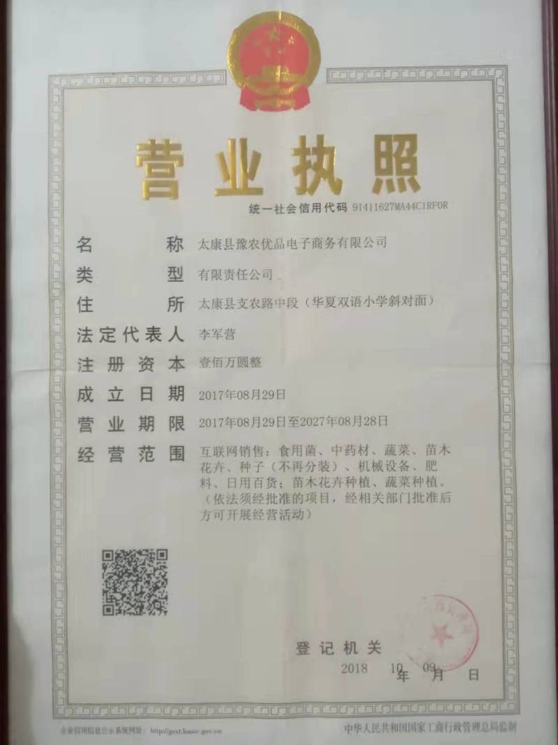 15公分国槐量大12公分到13公分国槐价格美丽
