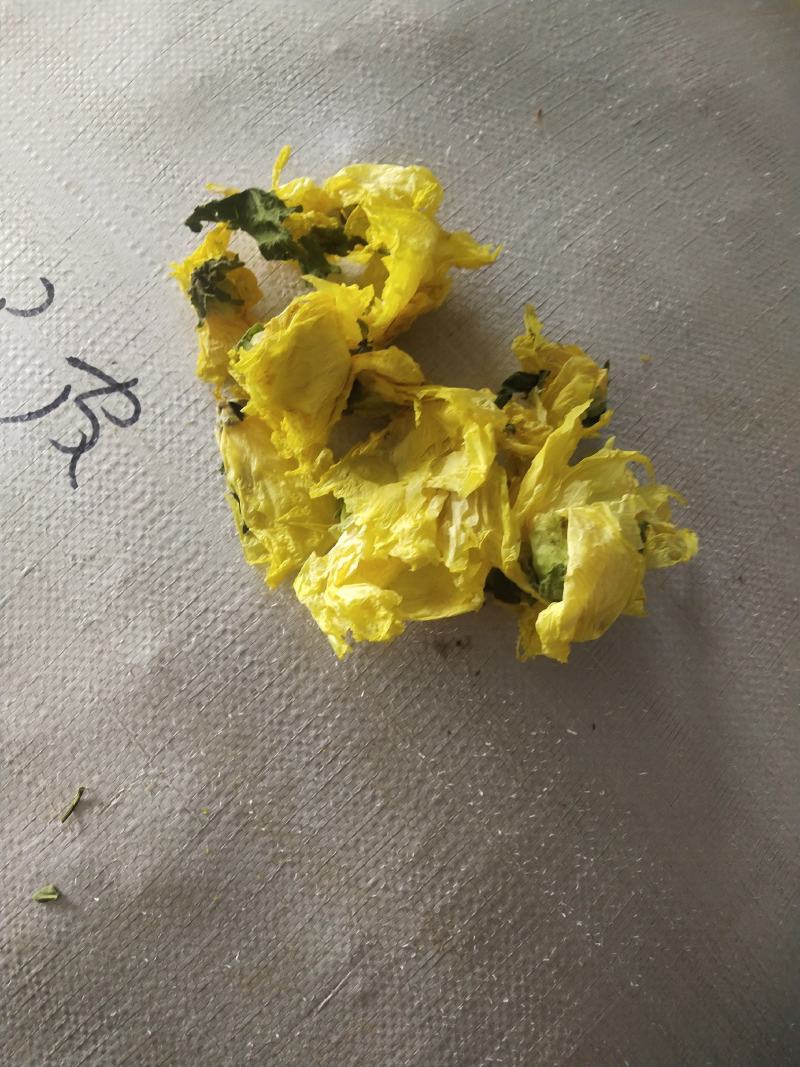 黄蜀葵花