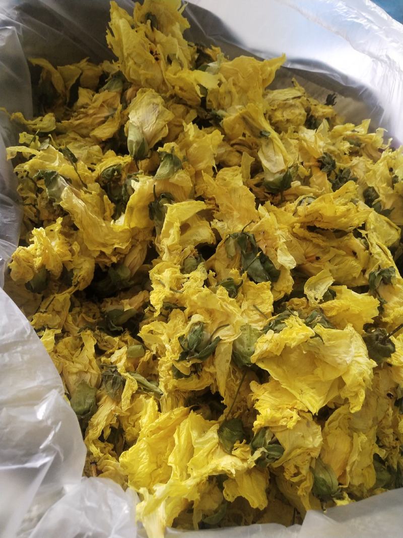 黄蜀葵花