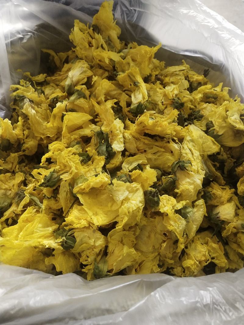 黄蜀葵花