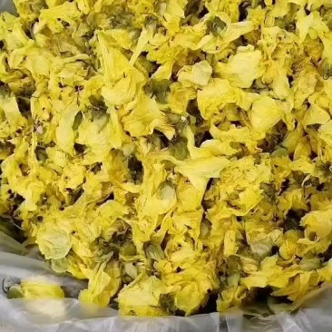 黄蜀葵花