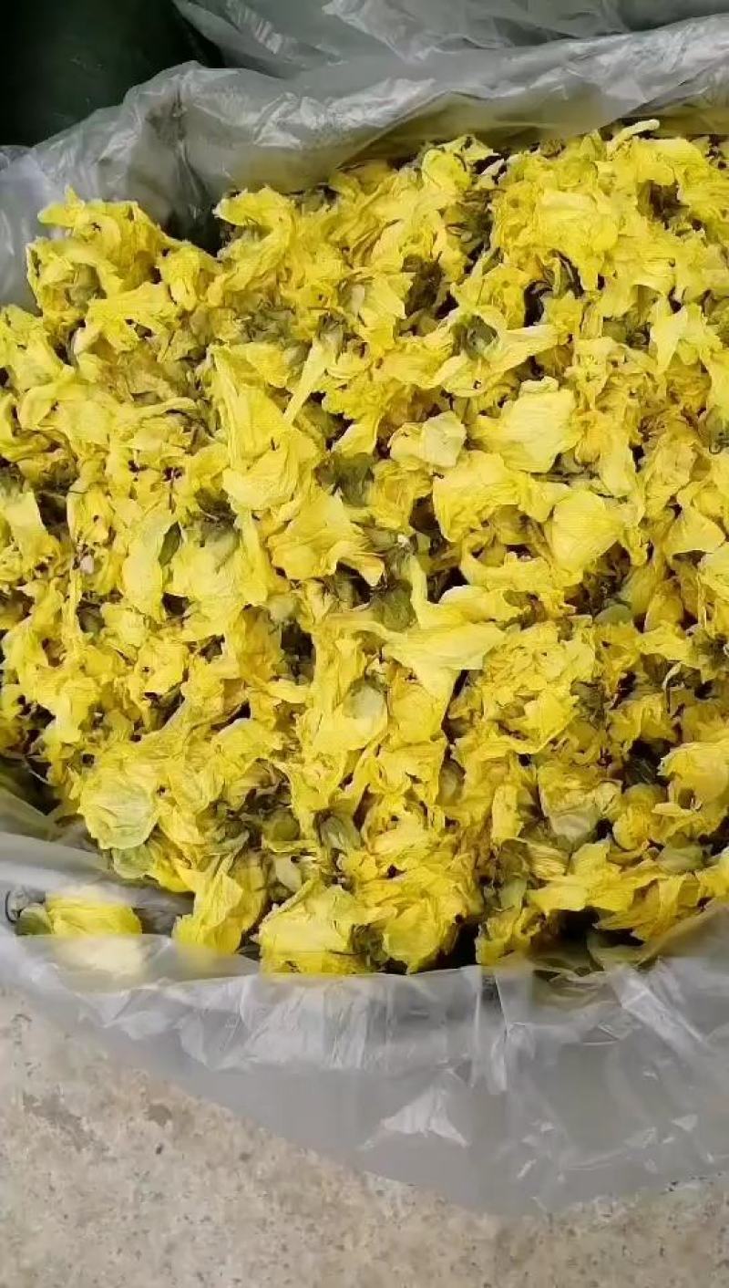 黄蜀葵花