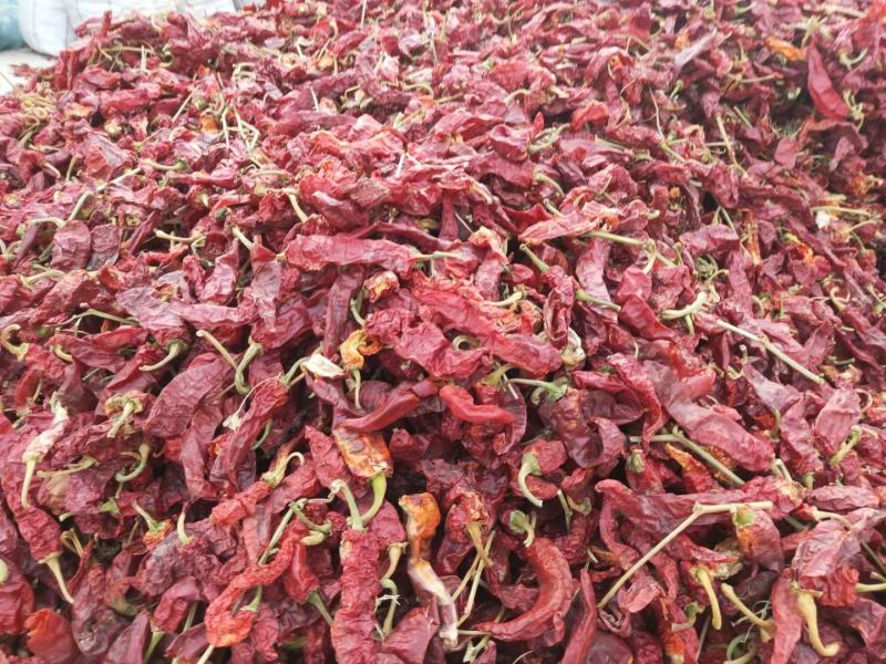 精品米粉椒，打酱相当好