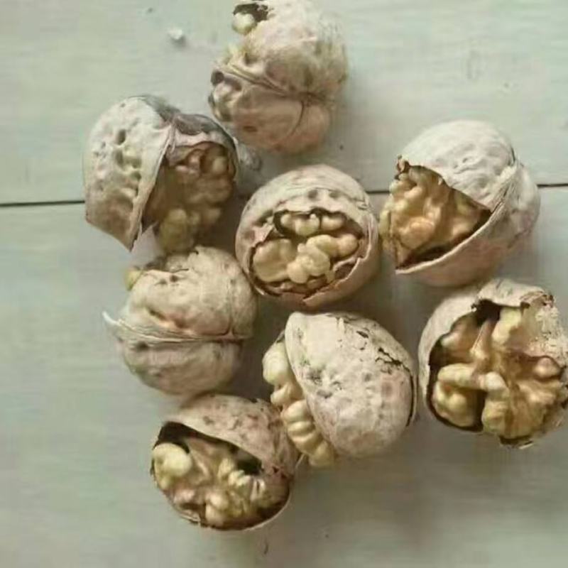 薄皮优种干核桃，：口感十足，个大仁白仁饱