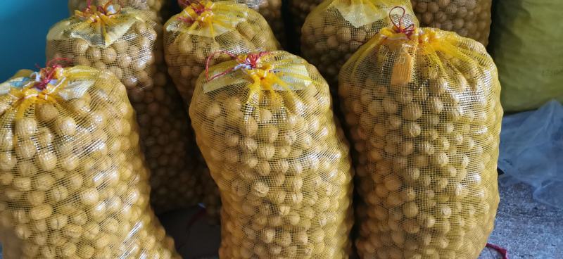 薄皮优种干核桃，：口感十足，个大仁白仁饱