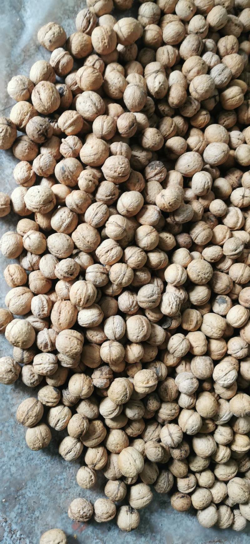 薄皮优种干核桃，：口感十足，个大仁白仁饱