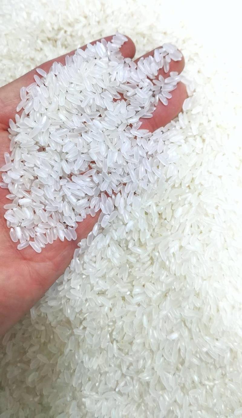 黑龙江特产黑土地种植精品稻花香大米，稻花香7厂家直发