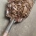 重庆、四川地区菜籽饼（货品纯真、无杂质）