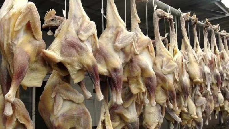 纯手工制作，全自然风干的风干咸鸡咸鸭咸鹅