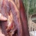 四川腊肉
