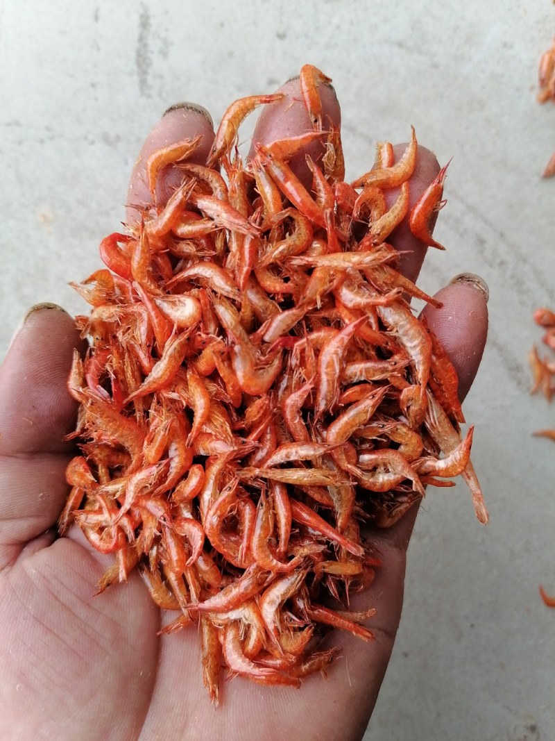 烤虾干，红虾干，河虾干，淡水虾干，精品小红虾干，小草虾干